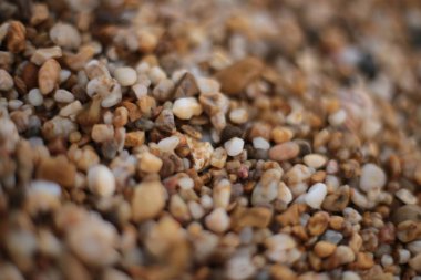 Makro fotoğraf, deniz kenarında küçük çakıl taşları, doğal arka plan.