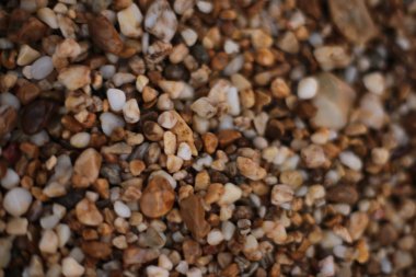 Makro fotoğraf, deniz kenarında küçük çakıl taşları, doğal arka plan.