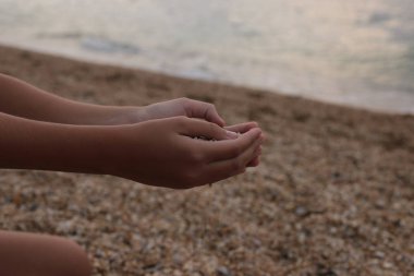 Makro fotoğraf, deniz kenarında küçük çakıl taşları, doğal arka plan.