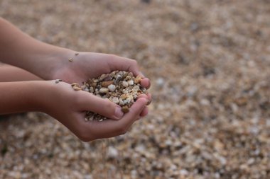 Makro fotoğraf, deniz kenarında küçük çakıl taşları, doğal arka plan.