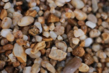 Makro fotoğraf, deniz kenarında küçük çakıl taşları, doğal arka plan.