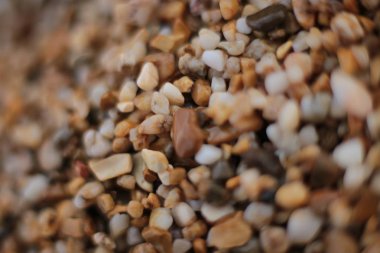Makro fotoğraf, deniz kenarında küçük çakıl taşları, doğal arka plan.