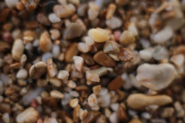 Makro fotoğraf, deniz kenarında küçük çakıl taşları, doğal arka plan.