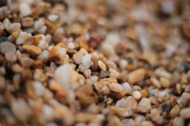 Makro fotoğraf, deniz kenarında küçük çakıl taşları, doğal arka plan.