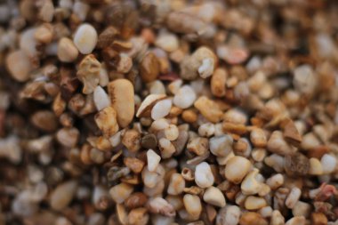 Makro fotoğraf, deniz kenarında küçük çakıl taşları, doğal arka plan.