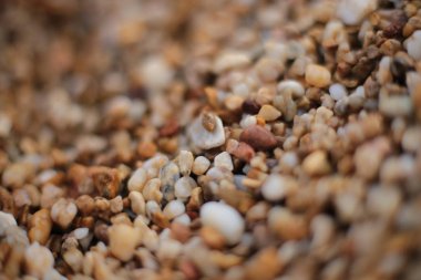 Makro fotoğraf, deniz kenarında küçük çakıl taşları, doğal arka plan.