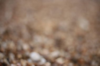 Makro fotoğraf, deniz kenarında küçük çakıl taşları, doğal arka plan.