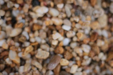 Makro fotoğraf, deniz kenarında küçük çakıl taşları, doğal arka plan.