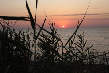 Günbatımında çimen ve çıkıntı, doğanın aşkı ve güzelliği gün doğumunda süper manzara