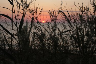 Günbatımında çimen ve çıkıntı, doğanın aşkı ve güzelliği gün doğumunda süper manzara