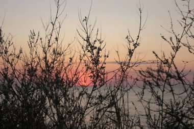 Günbatımında çimen ve çıkıntı, doğanın aşkı ve güzelliği gün doğumunda süper manzara