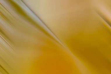 Açık bej soyut arkaplan, çıplak moda illüstrasyonu