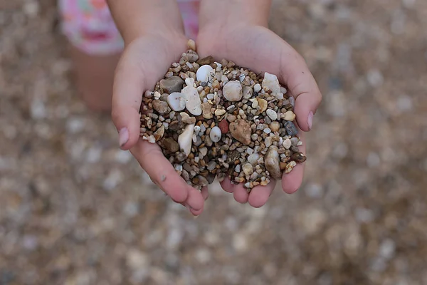 small pebbles in hands game to shift stones