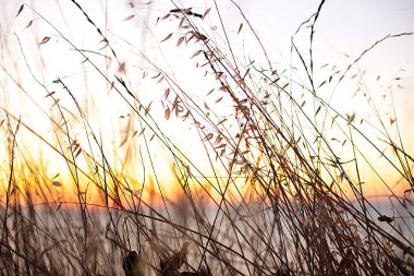 Gündoğumunda çivi ve çimen, günbatımında gökyüzünün farklı renkleri.