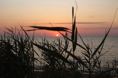 Gün batımında doğal doğa güzelliği gün doğumunda