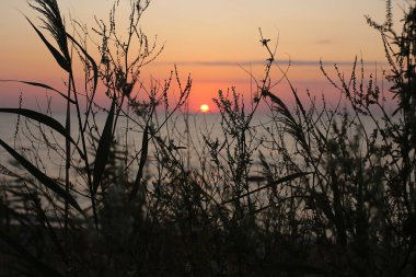 Gün batımında doğal doğa güzelliği gün doğumunda