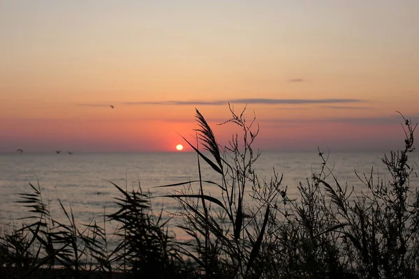 Sonnenuntergang Landschaft Natürliche Schönheit Der Natur Bei Sonnenaufgang — Stockfoto