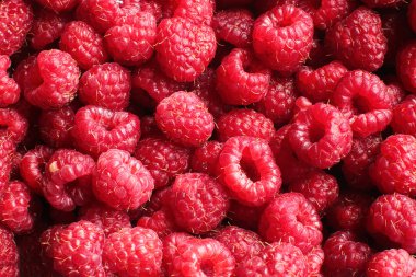 Sulu, olgun, kırmızı, ahududu, makro arka plan.