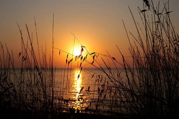 Deniz Kıyısında Gün Batımı Şafak Manzarası — Stok fotoğraf