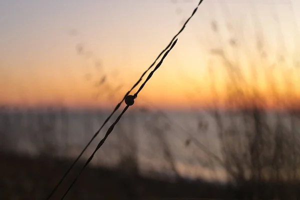 海沿岸の日没 夜明けの風景の背景 — ストック写真