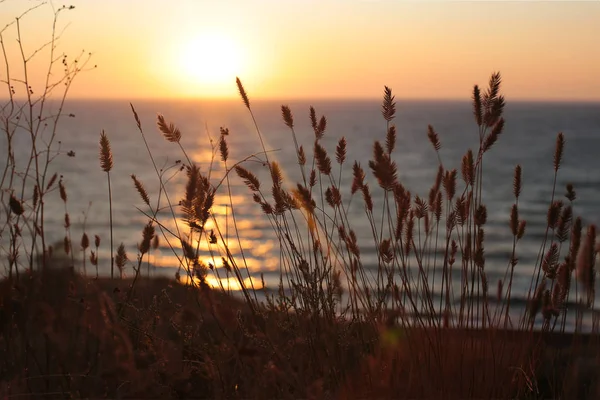 Puesta Sol Mar Belleza Naturaleza Amanecer — Foto de Stock