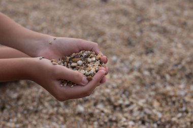 Deniz kıyısındaki kız kumla ve çakıl taşlarıyla oynar doğanın güzelliğini