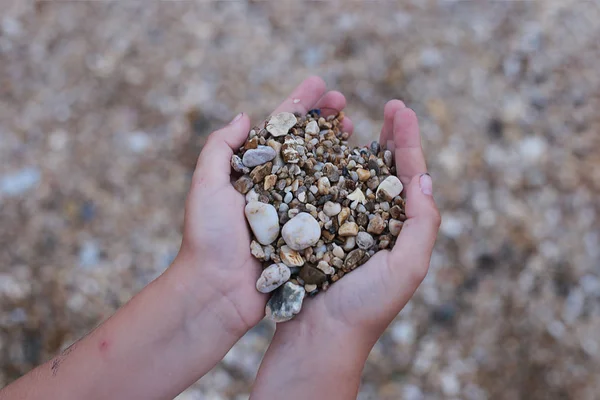 Girl Seashore Plays Sand Pebbles Beauty Nature — Stock Photo, Image