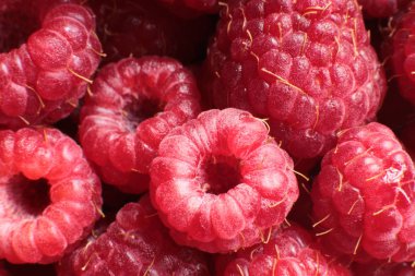 ahududu olgun ve sulu makro fotoğraf.