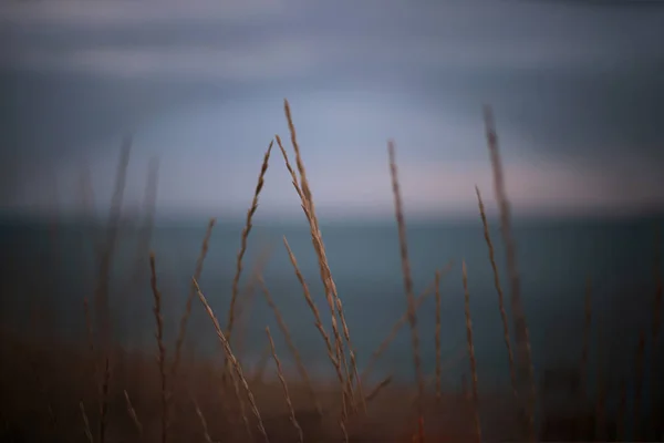 Deniz Kıyısı Güzel Manzara Rahatlama Manzarası — Stok fotoğraf