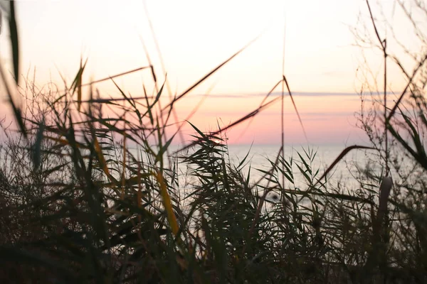 Seashore Beautiful Landscape Relaxation View — Stock Photo, Image