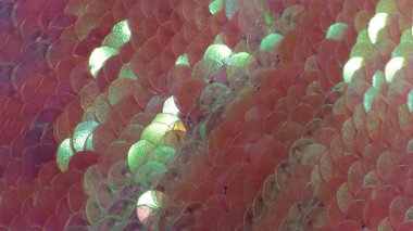 bir çok parlak parlak yanardöner pullar makro fotoğraf arkaplanı