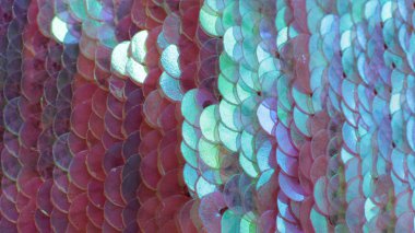 bir çok parlak parlak yanardöner pullar makro fotoğraf arkaplanı