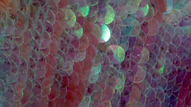 parlak makro arka plan doğal doku parlak pullar