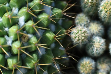 Rahatla doğa manzarası.