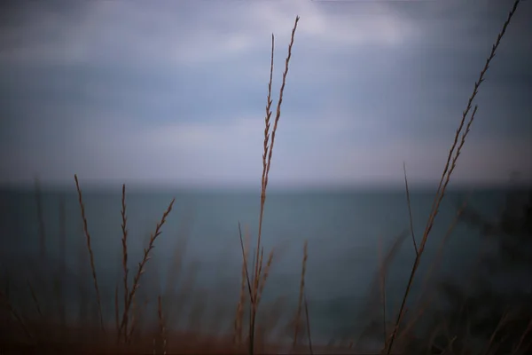 Ontspannen Achtergrond Landschap Van Natuur — Stockfoto