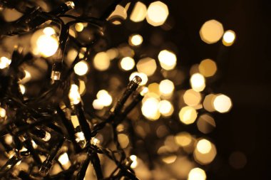 Bir çelengin renkli ışıklarıyla parıldıyor.