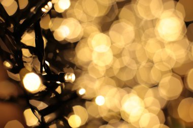 Bir çelengin renkli ışıklarıyla parıldıyor.