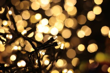 Bir çelengin renkli ışıklarıyla parıldıyor.