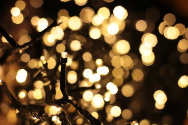 Bir çelengin renkli ışıklarıyla parıldıyor.