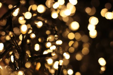 Bir çelengin renkli ışıklarıyla parıldıyor.