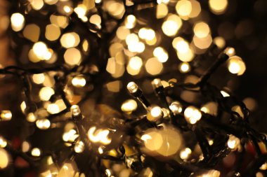 Bir çelengin renkli ışıklarıyla parıldıyor.