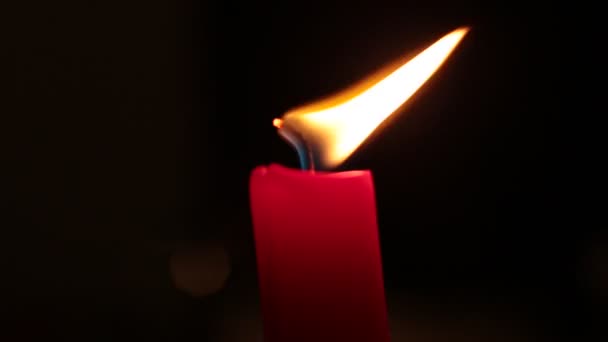Μακροσκελής Φλόγα Καίει Φωτιά Υποβάθρου — Αρχείο Βίντεο