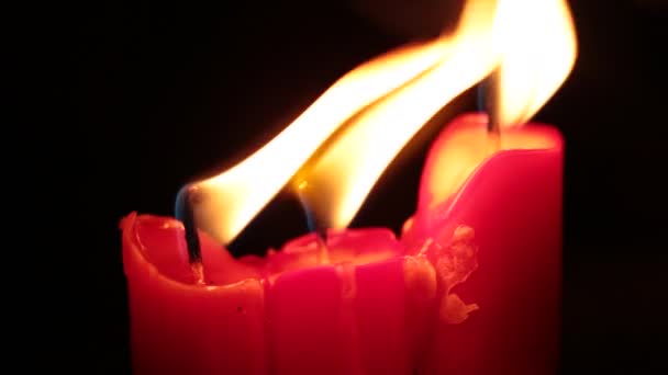Μακροσκελής Φλόγα Καίει Φωτιά Υποβάθρου — Αρχείο Βίντεο
