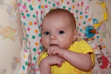 Face of a small pectoral baby