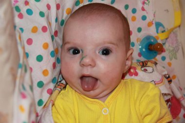 Face of a small pectoral baby