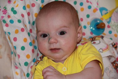 Face of a small pectoral baby