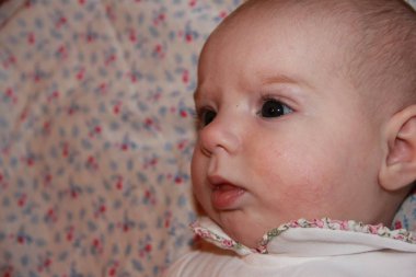 Face of a small pectoral baby