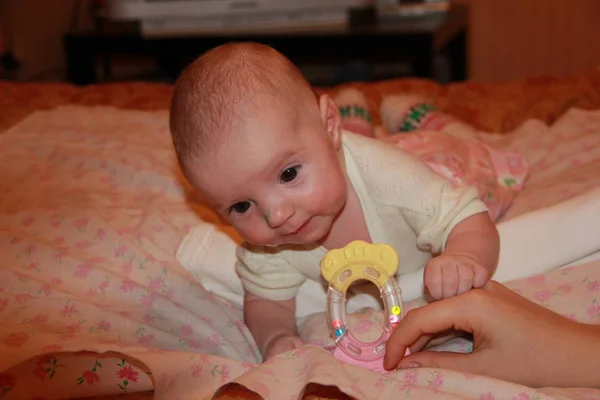 Cara Bebé Pectoral Pequeño —  Fotos de Stock