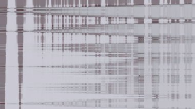  portrait of a beautiful woman with long black hair 