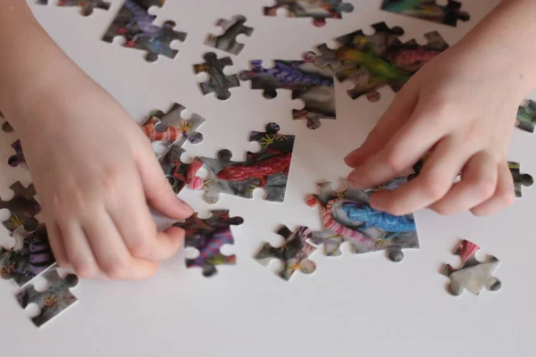子供の手は心と迅速な知恵のためのパズルゲームを収集します — ストック写真
